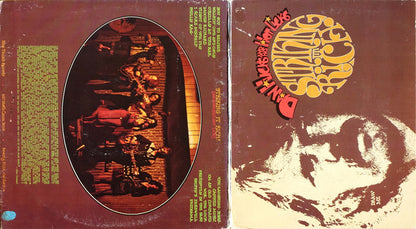 Dan Hicks And His Hot Licks : Striking It Rich! (LP, Album, Quad, Die)