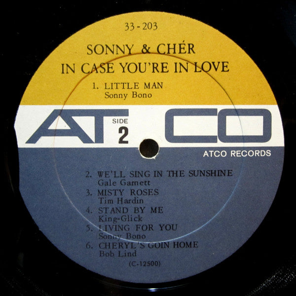 Sonny & Cher : In Case You're In Love (LP, Album, Mono)