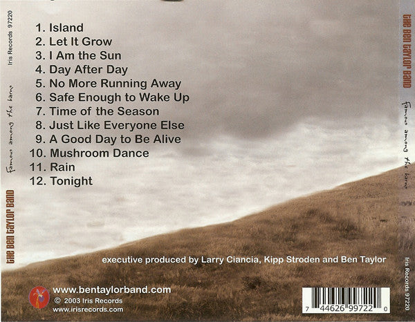 The Ben Taylor Band : Famous Among The Barns (CD, Album)
