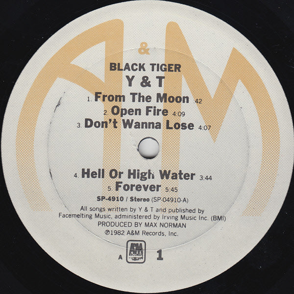 Y & T : Black Tiger (LP, Album)