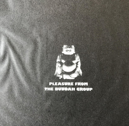 Roger Cook : Minstrel In Flight (LP, Album, Promo)