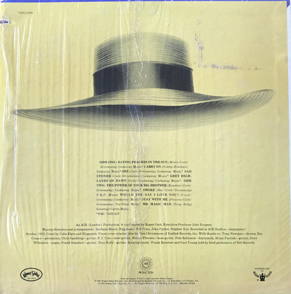 Roger Cook : Minstrel In Flight (LP, Album, Promo)