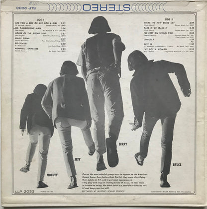The Barbarians : The Barbarians (LP, Album, Mono)