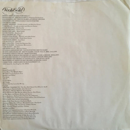 Fools Gold : Mr. Lucky (LP, Album, Ter)