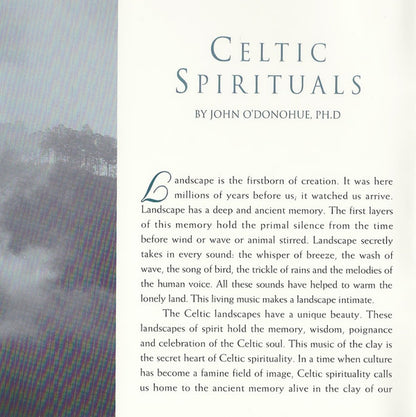 Various : Celtic Spirit (CD, Comp)