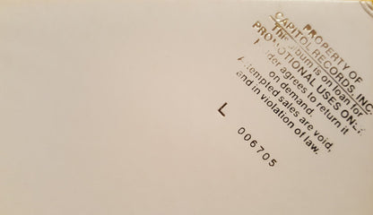 Tina Turner : One Of The Living (12", Single)