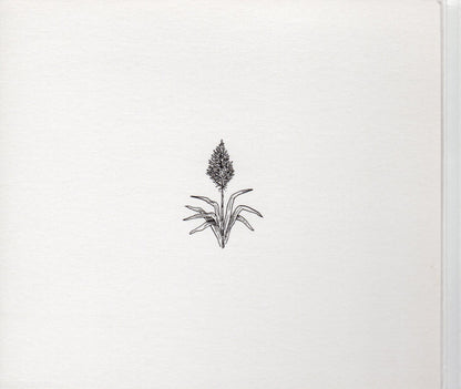 Elvis Costello : Secret, Profane & Sugarcane (CD, Album)