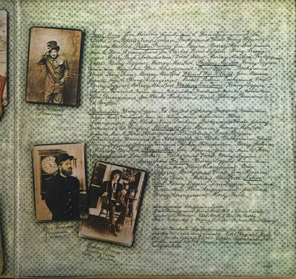 Loggins And Messina : Native Sons (LP, Album)