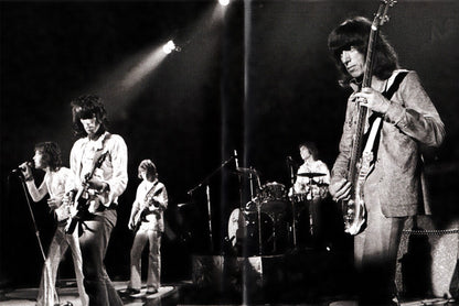 The Rolling Stones : Ladies & Gentlemen (DVD-V, Multichannel, NTSC)