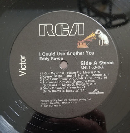 Eddy Raven : I Could Use Another You (LP)