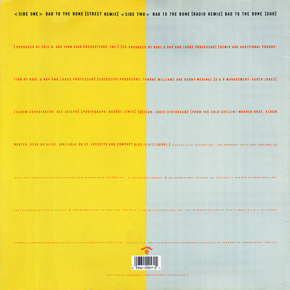Kool G Rap & D.J. Polo : Bad To The Bone (12", Maxi)