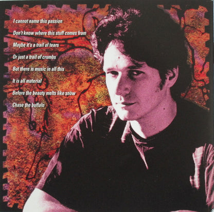 Pierce Pettis : Chase The Buffalo (CD)