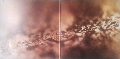 Tangerine Dream : Rubycon (LP, Album, RE, Gat)