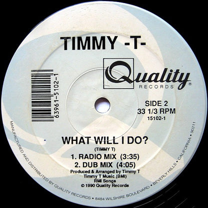 Timmy T : What Will I Do? (12")