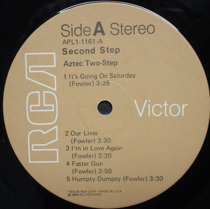 Aztec Two-Step : Second Step (LP, Album, Ind)