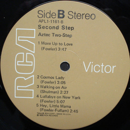 Aztec Two-Step : Second Step (LP, Album, Ind)