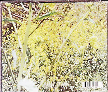 Nagisa Nite : こんな感じ = Feel (CD, Album)