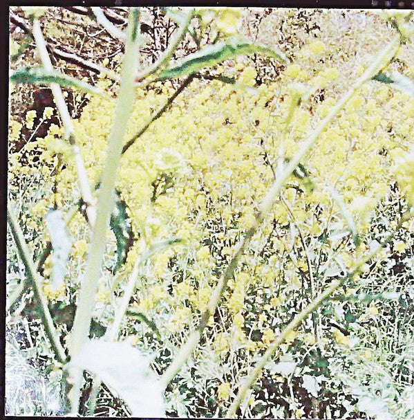 Nagisa Nite : こんな感じ = Feel (CD, Album)