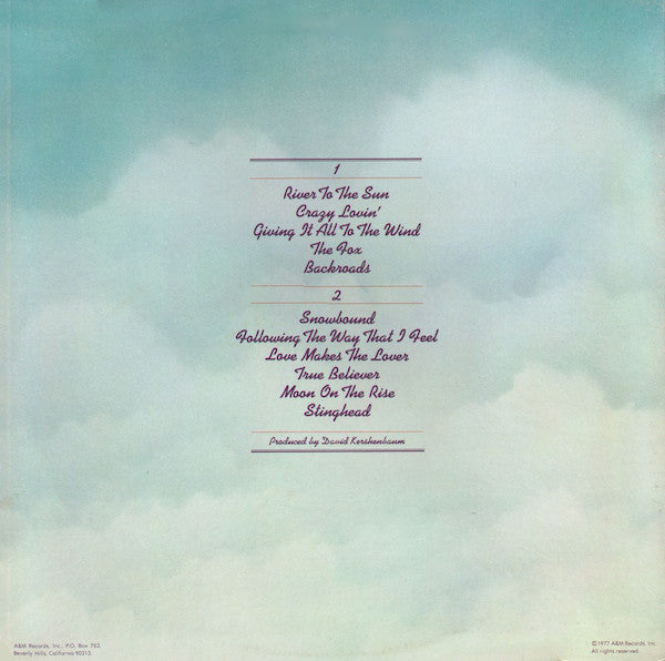 The Ozark Mountain Daredevils : Don't Look Down (LP, Album, Mon)