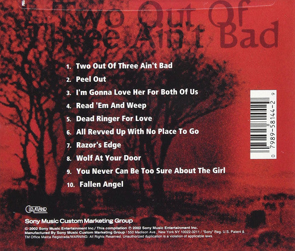 Meat Loaf : Two Out Of Three Ain't Bad (CD, Comp)