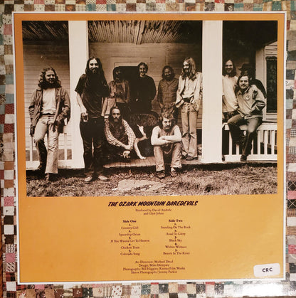 The Ozark Mountain Daredevils : The Ozark Mountain Daredevils (LP, Album, Ter)